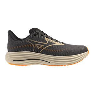 Mizuno Wave Rider 29