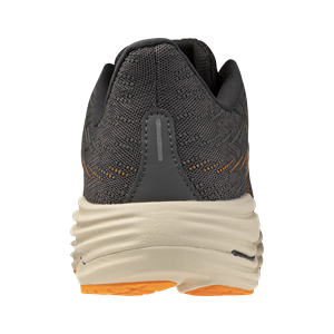 Mizuno Wave Rider 29