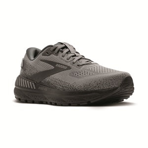 Brooks Beast GTS 24