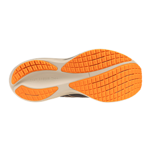 Mizuno Wave Rider 29
